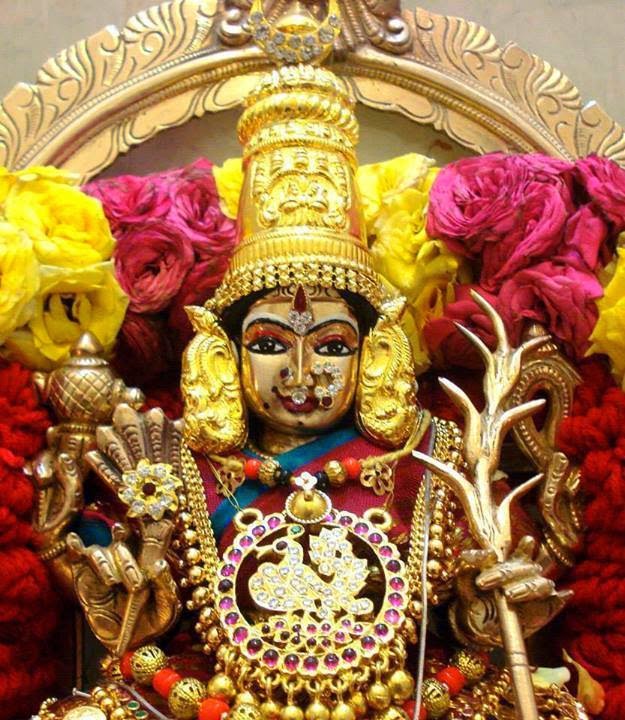 மதுரை சோழவந்தான் ஜெனகை மாரியம்மனை வழிபட்டு அங்கு தரும் பிரசாத தீர்த்தத்தை அருந்த எந்த நோயும் வராது என்கின்றனர். மதுரை சோழவந்தான் ஜெனகை மாரியம்மனை வழிபட்டு அங்கு தரும் பிரசாத தீர்த்தத்தை அருந்த எந்த நோயும் வராது என்கின்றனர்.