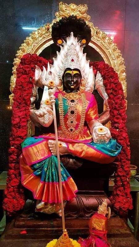 கரூர் மகா மாரியம்மனை வெள்ளிக்கிழமை வழிபட்டால் வழக்கு, வியாபார சிக்கல்கள் இருந்தால் சரியாகும். காணாமல் போன பொருட்களை திரும்பக் கிடைக்கவும் அருள் கிடைக்கும். கரூர் மகா மாரியம்மனை வெள்ளிக்கிழமை வழிபட்டால் வழக்கு, வியாபார சிக்கல்கள் இருந்தால் சரியாகும். காணாமல் போன பொருட்களை திரும்பக் கிடைக்கவும் அருள் கிடைக்கும்.