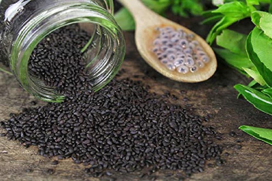 1 டீ ஸ்பூன் துளசி விதைகளை தண்ணீரிலோ, பழ ஜூஸ்களிலோ இந்த சப்ஜா அல்லது துளசி விதைகளைப் போட்டு அருந்துவதால் 7 கிராம் நார்ச்சத்து கிடைக்கிறது. நார்ச்சத்து அதிகமாவதால் வயிறு நிரம்பிய உணர்வை தருவதுடன், ரத்த சர்க்கரை அளவையும், கொலஸ்ட்ராலையும் கட்டுக்குள் வைக்கிறது.. 1 டீ ஸ்பூன் துளசி விதைகளை தண்ணீரிலோ, பழ ஜூஸ்களிலோ இந்த சப்ஜா அல்லது துளசி விதைகளைப் போட்டு அருந்துவதால் 7 கிராம் நார்ச்சத்து கிடைக்கிறது. நார்ச்சத்து அதிகமாவதால் வயிறு நிரம்பிய உணர்வை தருவதுடன், ரத்த சர்க்கரை அளவையும், கொலஸ்ட்ராலையும் கட்டுக்குள் வைக்கிறது..