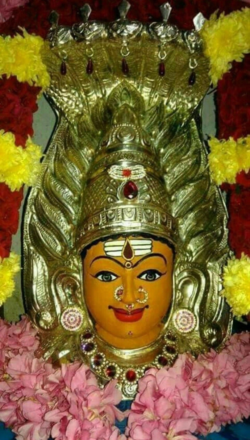 ஆடி வெள்ளியில் பொதுவாக விரதம் இருந்து பூஜைகள் செய்து வழிபடுவார்கள். அவ்வாறு செய்வதால் அவர்களின் குடும்பம் பினியிலிருந்து பாதுகாக்கப்படும் என்பது நம்பிக்கை. ஆடி வெள்ளியில் பொதுவாக விரதம் இருந்து பூஜைகள் செய்து வழிபடுவார்கள். அவ்வாறு செய்வதால் அவர்களின் குடும்பம் பினியிலிருந்து பாதுகாக்கப்படும் என்பது நம்பிக்கை.