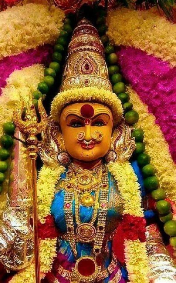 ஒவ்வொரு வெள்ளியும் அம்மனுக்கு பொங்கல் வைத்து வழிபட வீட்டில் இருக்கும் பிரச்னைகள் நீங்கி நன்மை வந்து சேரும். மகிழ்ச்சி பொங்கும். ஒவ்வொரு வெள்ளியும் அம்மனுக்கு பொங்கல் வைத்து வழிபட வீட்டில் இருக்கும் பிரச்னைகள் நீங்கி நன்மை வந்து சேரும். மகிழ்ச்சி பொங்கும்.