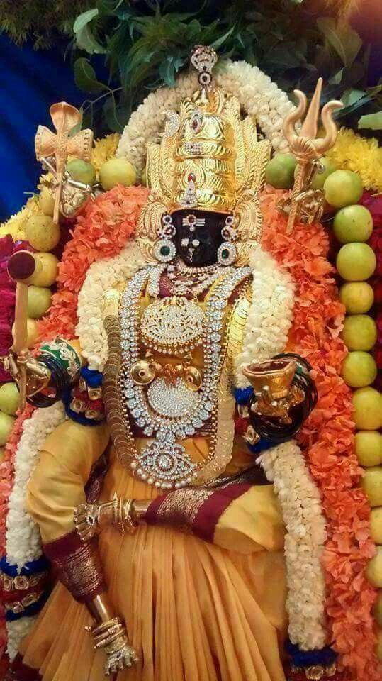 இந்த ஆடிக் கஞ்சியில் அதிமதுரம், சீரகம், திப்பிலி, சின்ன வெங்காயம், திரிகடுகு, குன்னி வேர், உழிஞ்சை வேர், சீற்றாமுடடி, கட லாடி வேர் ஆகியவற்றை ஒன்றும் பாதியுமாக தட்டி எடுத்து வெள்ளைத் துணியில் கட்டிக்கொள்ள வேண்டும். அரிசி கஞ்சி காய்ச்சும் போது இறக்கும் முன் அதில் 15 நிமிடங்கள் அந்த துணியை போட்டு எடுக்க அதன் பலன்கள் கஞ்சியில் இறங்கிவிடும். அந்தக் கஞ்சியைக் குடிக்க எந்த நோயும் வராது. இந்த ஆடிக் கஞ்சியில் அதிமதுரம், சீரகம், திப்பிலி, சின்ன வெங்காயம், திரிகடுகு, குன்னி வேர், உழிஞ்சை வேர், சீற்றாமுடடி, கட லாடி வேர் ஆகியவற்றை ஒன்றும் பாதியுமாக தட்டி எடுத்து வெள்ளைத் துணியில் கட்டிக்கொள்ள வேண்டும். அரிசி கஞ்சி காய்ச்சும் போது இறக்கும் முன் அதில் 15 நிமிடங்கள் அந்த துணியை போட்டு எடுக்க அதன் பலன்கள் கஞ்சியில் இறங்கிவிடும். அந்தக் கஞ்சியைக் குடிக்க எந்த நோயும் வராது.