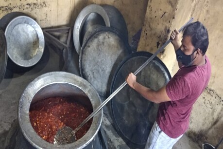 கோவையில் பக்ரீத் பண்டிகையை முன்னிட்டு பூசணி அல்வா தயாரிப்பு மும்முரம் கோவையில் பக்ரீத் பண்டிகையை முன்னிட்டு பூசணி அல்வா தயாரிப்பு மும்முரம்