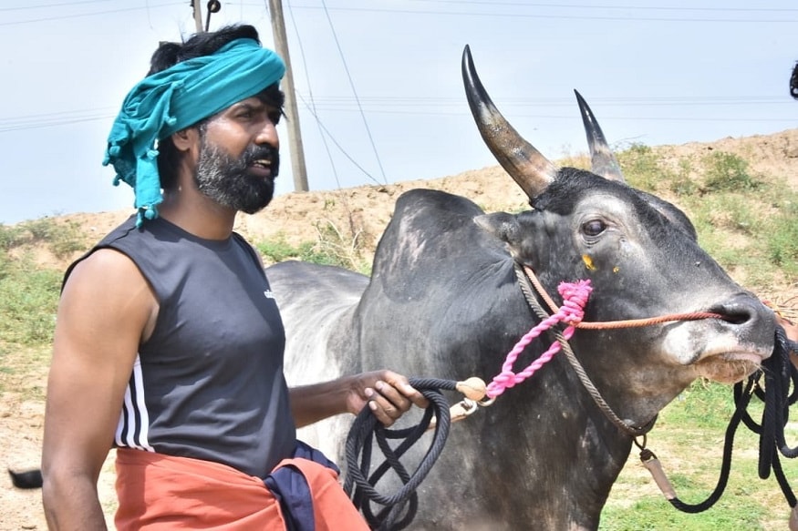 கொரோனா ஊரடங்கில் மதுரைக்கு அருகில் உள்ள ராஜாக்கூர் என்ற தனது சொந்த ஊருக்குச் சென்று தனது குடும்பத்தினருடன் நேரத்தை செலவிட்டு வருகிறார் சூரி. கொரோனா ஊரடங்கில் மதுரைக்கு அருகில் உள்ள ராஜாக்கூர் என்ற தனது சொந்த ஊருக்குச் சென்று தனது குடும்பத்தினருடன் நேரத்தை செலவிட்டு வருகிறார் சூரி.