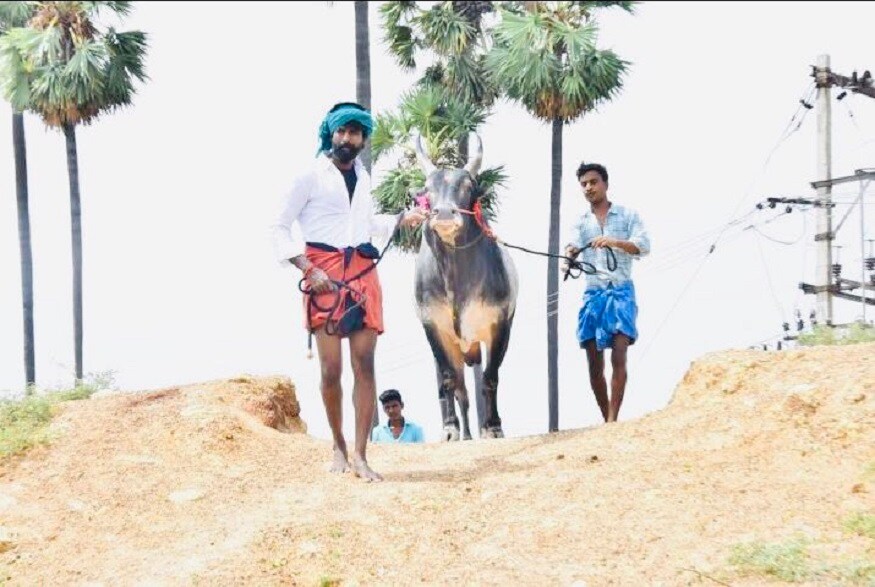 ஊரடங்கு காலத்தில் படப்பிடிப்புகள் ரத்து செய்யப்பட்டிருப்பதால் வீட்டிலிருக்கும் சூரி, விழிப்புணர்வு வீடியோக்களையும், தனது குழந்தைகளுடன் நேரம் செலவிடுவதையும் சமூகவலைதளத்தில் பதிவிட்டு வந்தார். ஊரடங்கு காலத்தில் படப்பிடிப்புகள் ரத்து செய்யப்பட்டிருப்பதால் வீட்டிலிருக்கும் சூரி, விழிப்புணர்வு வீடியோக்களையும், தனது குழந்தைகளுடன் நேரம் செலவிடுவதையும் சமூகவலைதளத்தில் பதிவிட்டு வந்தார்.