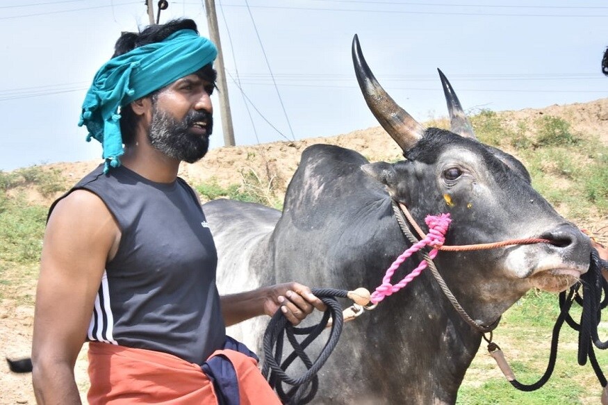 நடிகர் சூரி ஜல்லிக்கட்டு காளையுடன் இருக்கும் புகைப்படத்தை சமூகவலைதள பக்கத்தில் வெளியிட்டுள்ளார். நடிகர் சூரி ஜல்லிக்கட்டு காளையுடன் இருக்கும் புகைப்படத்தை சமூகவலைதள பக்கத்தில் வெளியிட்டுள்ளார்.