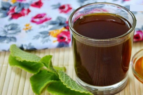 சளி, இருமலைப் போக்கும் கற்பூரவள்ளி டீ : எப்படி போடுவது..? சளி, இருமலைப் போக்கும் கற்பூரவள்ளி டீ : எப்படி போடுவது..?