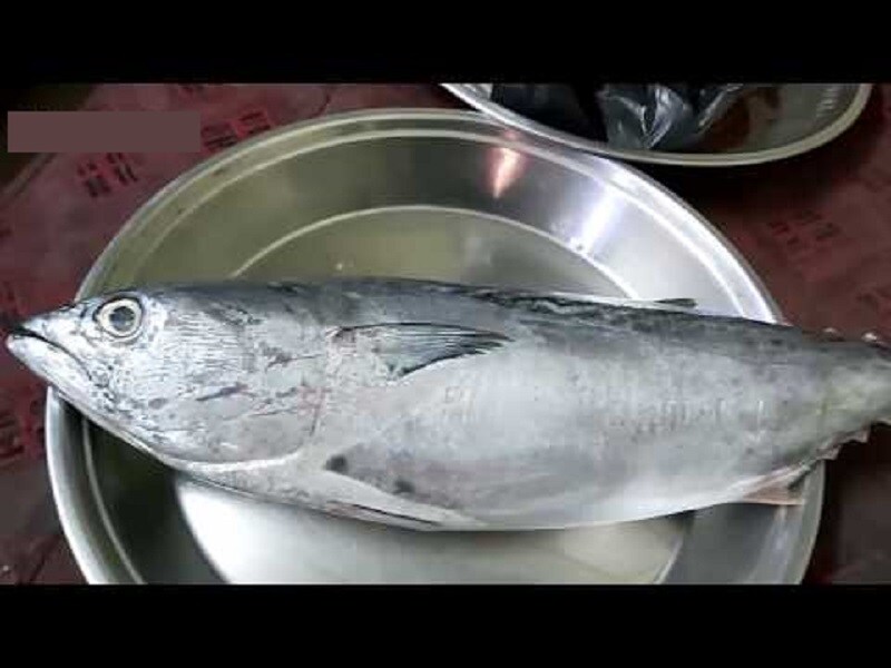 சூரை மீன் : சூரை மீன் ஊட்டச்சத்து மிக்க உணவு என்றாலும் அதை அளவுக்கு அதிகமாக உட்கொள்வது ஞாபக மறதியை அதிகரிக்கும். அதில் உள்ள மெர்க்குரி மூளையின் செயல் திறனை பாதிக்கும். சூரை மீன் : சூரை மீன் ஊட்டச்சத்து மிக்க உணவு என்றாலும் அதை அளவுக்கு அதிகமாக உட்கொள்வது ஞாபக மறதியை அதிகரிக்கும். அதில் உள்ள மெர்க்குரி மூளையின் செயல் திறனை பாதிக்கும்.