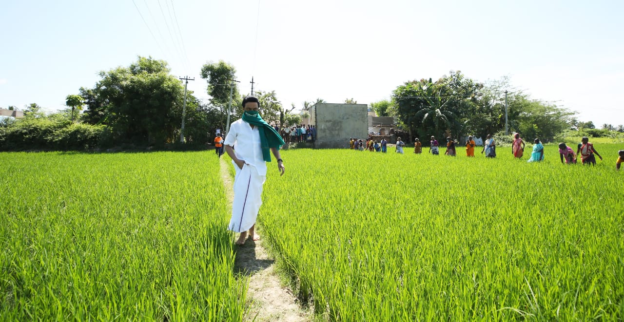 மேலும், பச்சை துண்டு அணிந்து கொண்டு வயலில் இறங்கிய திமுக தலைவர் மு.க.ஸ்டாலின், அங்கு வேலை விவசாயிகளிடம் பேசினார். மேலும், பச்சை துண்டு அணிந்து கொண்டு வயலில் இறங்கிய திமுக தலைவர் மு.க.ஸ்டாலின், அங்கு வேலை விவசாயிகளிடம் பேசினார்.