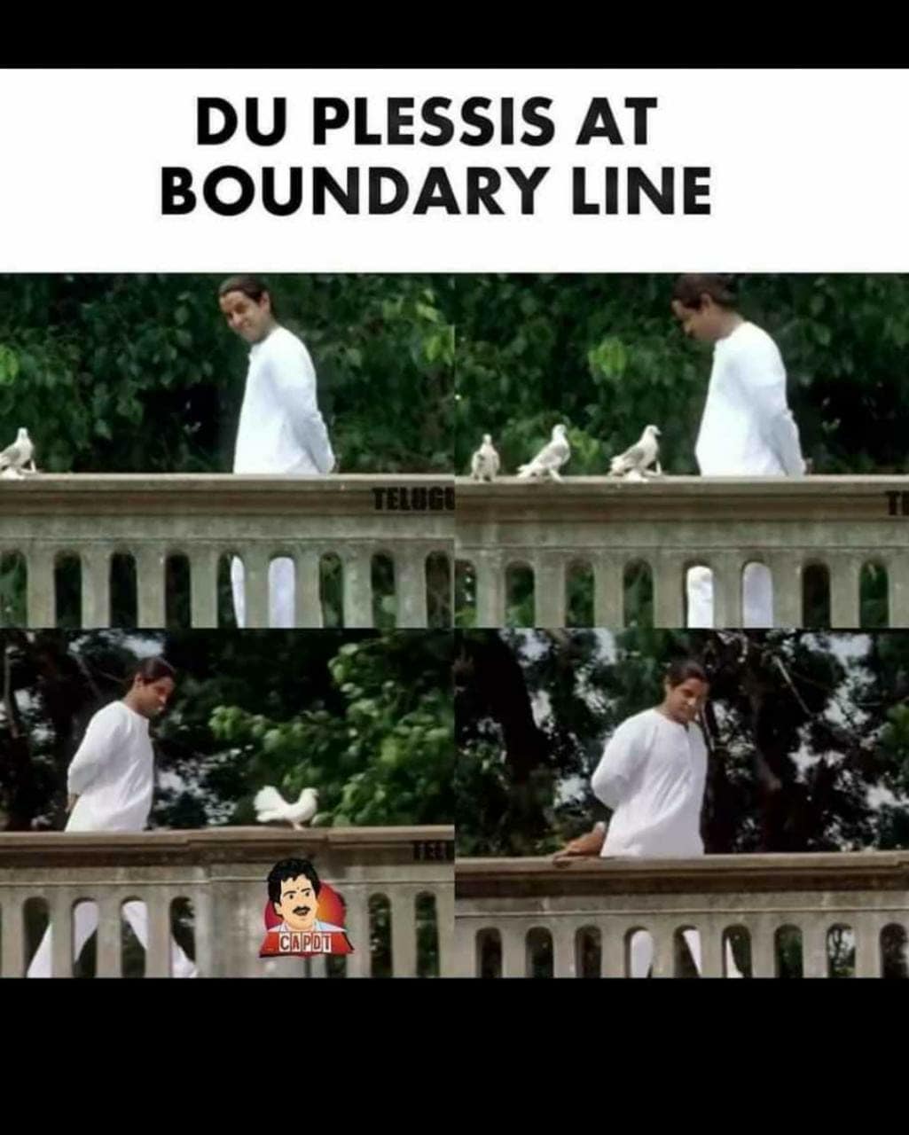 நேற்று டூப்ளஸிஸ் பவுண்டரி எல்லையில் அசத்தலாக மூன்று கேட்ச்களைப் பிடித்தார். அவரைப் பாராட்டும் விதமாக மீம்ஸ் நேற்று டூப்ளஸிஸ் பவுண்டரி எல்லையில் அசத்தலாக மூன்று கேட்ச்களைப் பிடித்தார். அவரைப் பாராட்டும் விதமாக மீம்ஸ்