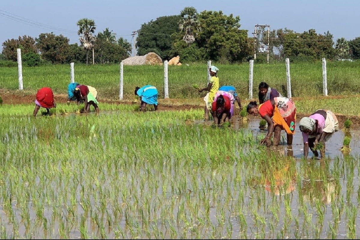 வேளாண் மசோதாக்களை நிறைவேற்ற இன்று கூடுகிறது ராஜ்ய சபா- பா.ஜ.கவுக்கு இருக்கும் சவால்கள் என்ன? | Rajya Sabha Session Expected Today as Govt Looks for Support on Contentious ...