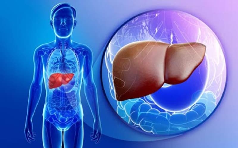 American Liver Foundation கூற்றுப்படி, ஆரோக்கியமான கல்லீரலுக்கு உப்பு, சர்க்கரை மற்றும் கொழுப்பு அதிகம் உள்ள உணவுப் பொருட்களை தவிர்க்க வேண்டும். American Liver Foundation கூற்றுப்படி, ஆரோக்கியமான கல்லீரலுக்கு உப்பு, சர்க்கரை மற்றும் கொழுப்பு அதிகம் உள்ள உணவுப் பொருட்களை தவிர்க்க வேண்டும்.