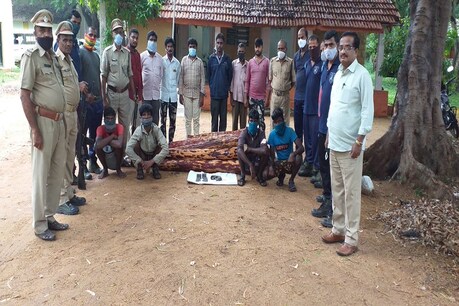 திருப்பதியில் செம்மரம் கடத்தியதாக 4 தமிழர்கள் கைது திருப்பதியில் செம்மரம் கடத்தியதாக 4 தமிழர்கள் கைது