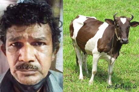 கேரளாவில் பசு மாட்டை பாலியல் வன்கொடுமை செய்த நபர் - காட்டிக்கொடுத்த சிசிடிவி கேரளாவில் பசு மாட்டை பாலியல் வன்கொடுமை செய்த நபர் - காட்டிக்கொடுத்த சிசிடிவி
