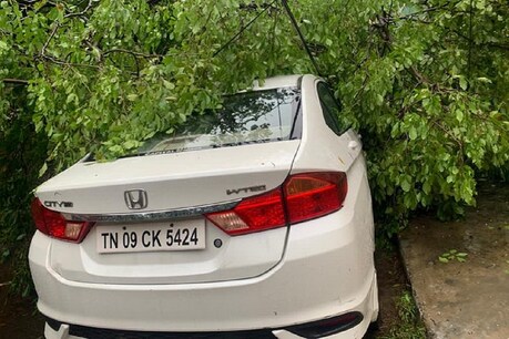 Cyclone Nivar | புயல் காற்றால் சாய்ந்த மரம்.. பிரபல இயக்குநரின் கார் சேதம்.. Cyclone Nivar | புயல் காற்றால் சாய்ந்த மரம்.. பிரபல இயக்குநரின் கார் சேதம்..