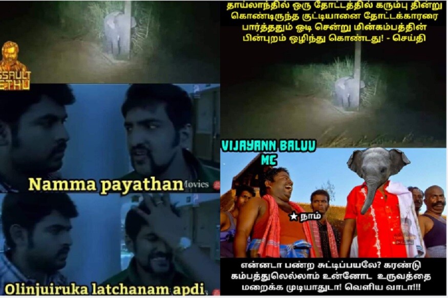 தாய்லாந்து நாட்டில் யானை குட்டி ஒன்று தோட்டத்தில் கரும்பு சாப்பிட்டுக் கொண்டிருக்கும் போது அதன் மீது டார்ச் லைட் அடித்ததால் உடனே அருகில் இருந்த போஸ்டின் பின் சென்று ஒளிந்து கொண்டுள்ளது. குட்டி யானையின் சுட்டித்தனமான இந்த செயல் இணையத்தில் வைரலாகி வருகின்றது. தாய்லாந்து நாட்டில் யானை குட்டி ஒன்று தோட்டத்தில் கரும்பு சாப்பிட்டுக் கொண்டிருக்கும் போது அதன் மீது டார்ச் லைட் அடித்ததால் உடனே அருகில் இருந்த போஸ்டின் பின் சென்று ஒளிந்து கொண்டுள்ளது. குட்டி யானையின் சுட்டித்தனமான இந்த செயல் இணையத்தில் வைரலாகி வருகின்றது.