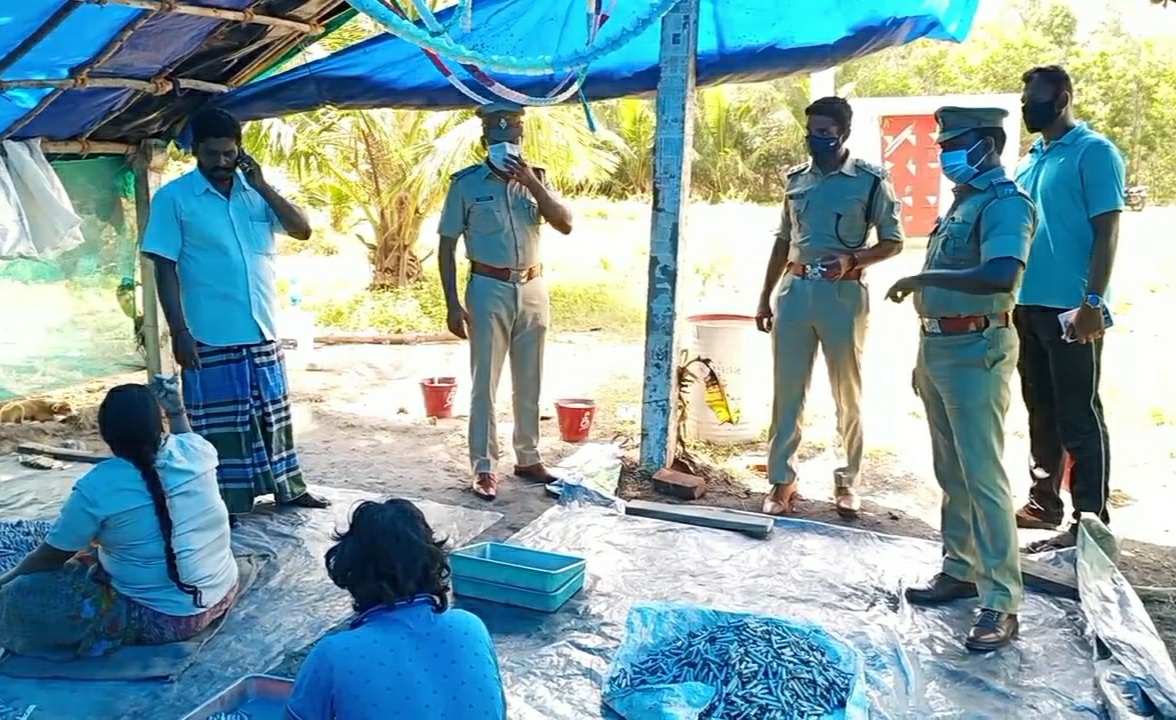  இந்த இடங்களில் தெற்கு மாவட்ட காவல்துறை கண்காணிப்பாளர் லோகேஷ்வரன் தலைமையில் ஆய்வு மேற்கொண்டனர். வெடி மருந்தின் கையிருப்பு, சுற்றுச்சூழல், தொழிலாளர் நலன் மற்றும் பணி பாதுகாப்பு, தனிமனித இடைவெளி ஆகியவற்றை ஆய்வு செய்தனர்.