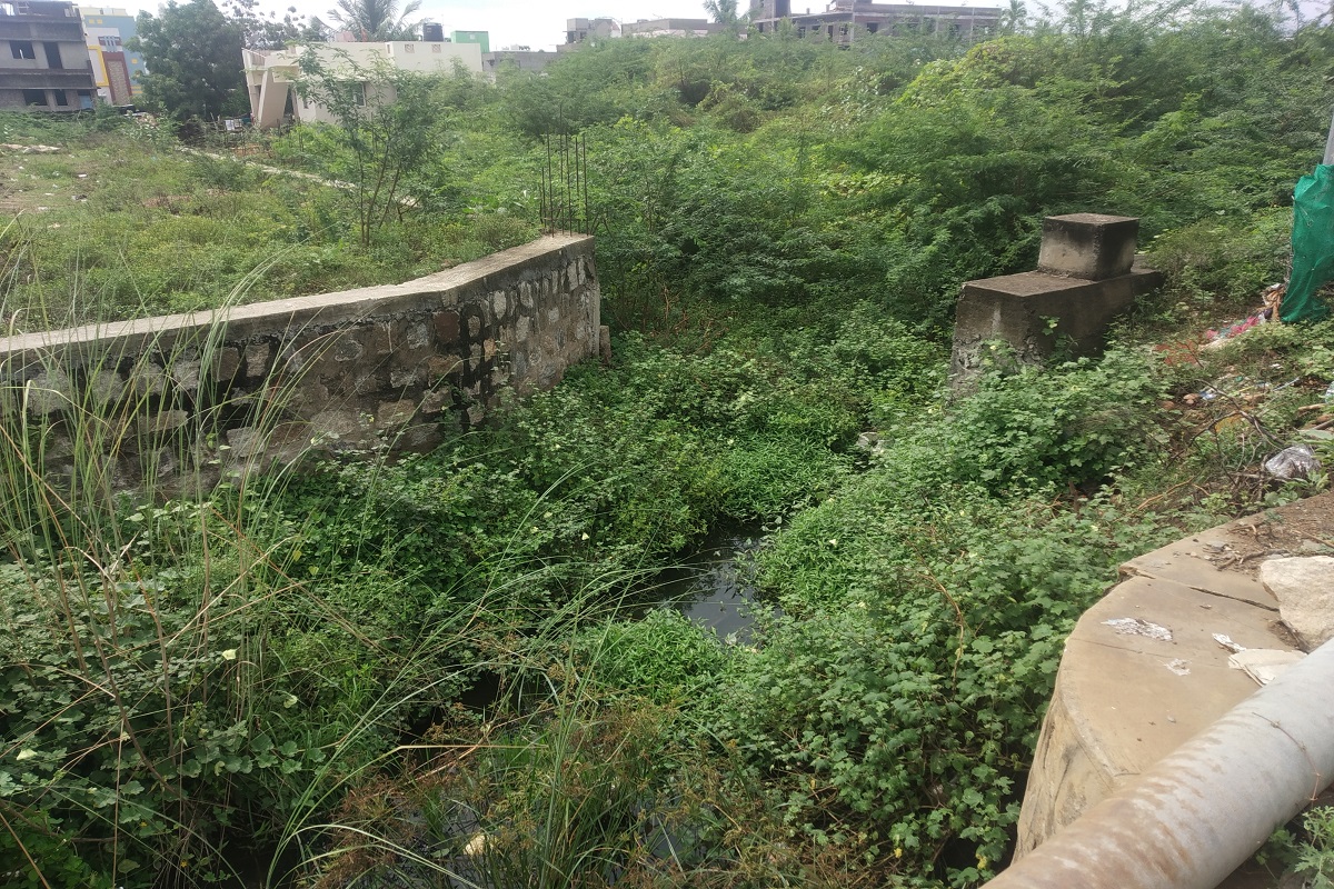 குடமுருட்டி ஆற்றின் கரை