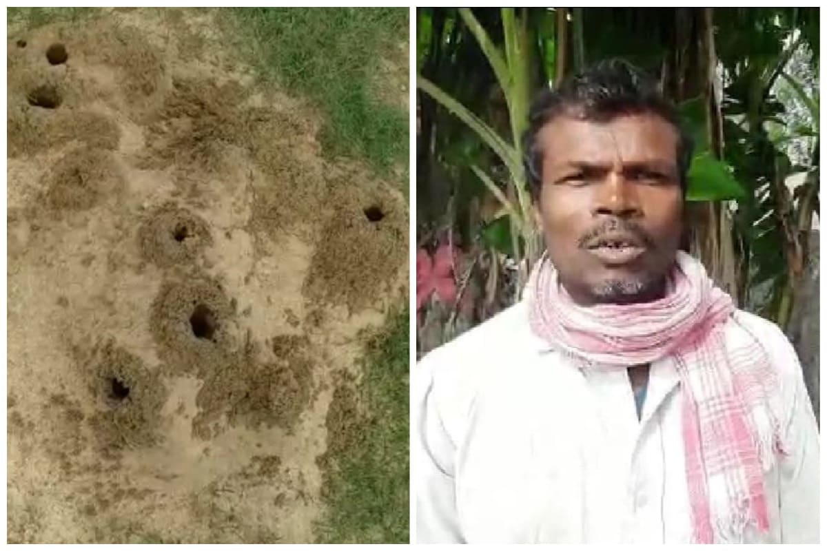 ஆந்திர மாநிலத்தில் ஏழைத் கூலித் தொழிலாளி ஒருவர் 74 முறை பாம்பு கடிக்கு ஆளாகியுள்ளார். ஒவ்வொரு முறையும் அவர் பிழைத்து வந்தது அனைவரையும் அதிர்ச்சியில் ஆழ்த்தியுள்ளது. ஆந்திர மாநிலத்தில் ஏழைத் கூலித் தொழிலாளி ஒருவர் 74 முறை பாம்பு கடிக்கு ஆளாகியுள்ளார். ஒவ்வொரு முறையும் அவர் பிழைத்து வந்தது அனைவரையும் அதிர்ச்சியில் ஆழ்த்தியுள்ளது.