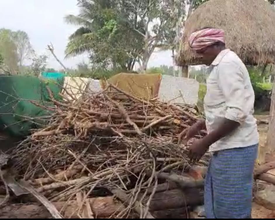 சொந்த ஊரில் அச்சத்துடன் வாழ பயந்து, பெங்களூரு உள்ளிட்ட பல்வேறு நகரங்களில் கூலி வேலை செய்து பிழைத்து வந்தார். ஆனால், அங்கும் பாம்பு கடிக்கு ஆளானதால் சொந்த ஊருக்குத் திரும்பினார். சொந்த ஊரில் அச்சத்துடன் வாழ பயந்து, பெங்களூரு உள்ளிட்ட பல்வேறு நகரங்களில் கூலி வேலை செய்து பிழைத்து வந்தார். ஆனால், அங்கும் பாம்பு கடிக்கு ஆளானதால் சொந்த ஊருக்குத் திரும்பினார்.