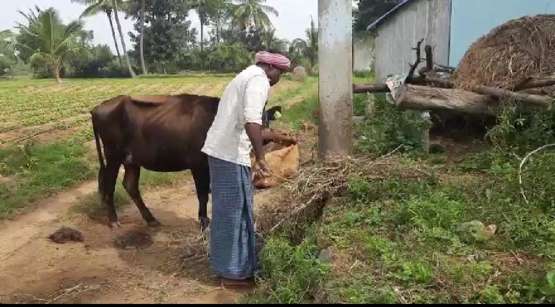 ஆந்திர மாநிலம் சித்தூர் மாவட்டத்தில் உள்ள கும்மரகுண்டா கிராமத்தை சேர்ந்தவர் கூலி தொழிலாளி சுப்பிரமணியம். இவருக்கு 5 வயதாக இருக்கும் போது, முதன்முதலாக நல்ல பாம்பு ஒன்று கடித்தது. ஆந்திர மாநிலம் சித்தூர் மாவட்டத்தில் உள்ள கும்மரகுண்டா கிராமத்தை சேர்ந்தவர் கூலி தொழிலாளி சுப்பிரமணியம். இவருக்கு 5 வயதாக இருக்கும் போது, முதன்முதலாக நல்ல பாம்பு ஒன்று கடித்தது.