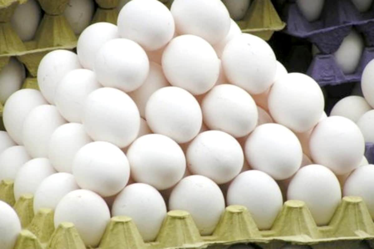 Egg Rate Increased | முட்டை கொள்முதல் விலை ஒரே வாரத்தில் 70 காசுகள்