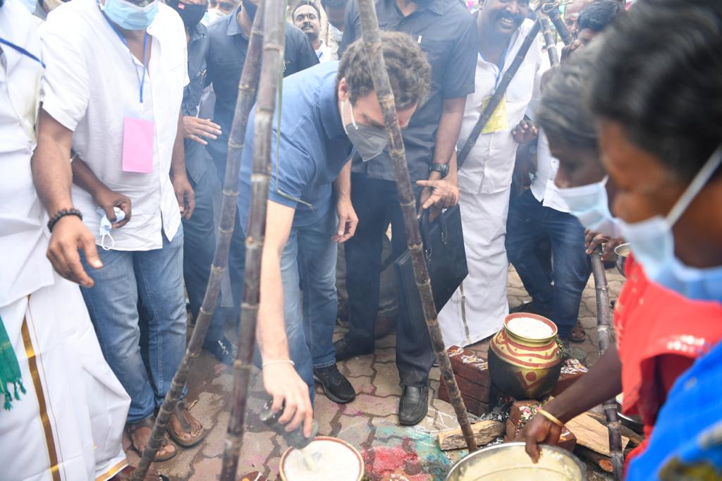 காங்கிரஸ் எம்.பி ராகுல் காந்தி மதுரையில் ஜல்லிக்கட்டு விழாவில் பங்கேற்றுவிட்டு மக்களோடு மக்களாக இணைந்து தைப் பொங்கல் கொண்டாடினார். காங்கிரஸ் எம்.பி ராகுல் காந்தி மதுரையில் ஜல்லிக்கட்டு விழாவில் பங்கேற்றுவிட்டு மக்களோடு மக்களாக இணைந்து தைப் பொங்கல் கொண்டாடினார்.