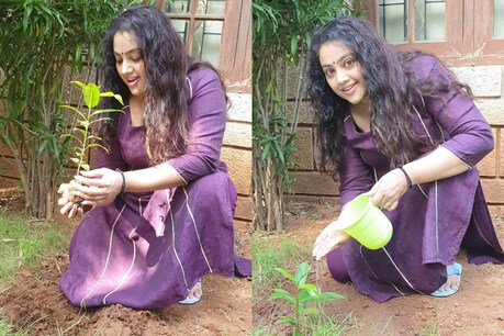 பிக்பாஸ் போட்டியாளரின் கிரீன் இந்தியா சவாலை ஏற்றுக் கொண்ட மீனா! பிக்பாஸ் போட்டியாளரின் கிரீன் இந்தியா சவாலை ஏற்றுக் கொண்ட மீனா!