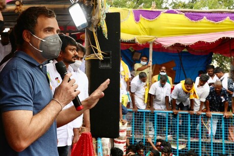 வருங்கால இந்தியாவுக்கு தமிழ் கலாச்சரம், மொழி முக்கியமானது - ஜல்லிக்கட்டு விழாவில் ராகுல் காந்தி நெகிழ்ச்சி வருங்கால இந்தியாவுக்கு தமிழ் கலாச்சரம், மொழி முக்கியமானது - ஜல்லிக்கட்டு விழாவில் ராகுல் காந்தி நெகிழ்ச்சி