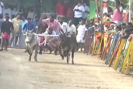 கோவை : பொங்கல், எம்.ஜி.ஆர் பிறந்தநாளை முன்னிட்டு அதிமுக சார்பில் நடைபெற்ற ரேக்ளா பந்தயம் கோவை : பொங்கல், எம்.ஜி.ஆர் பிறந்தநாளை முன்னிட்டு அதிமுக சார்பில் நடைபெற்ற ரேக்ளா பந்தயம்