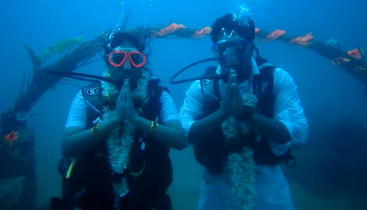 திருமணத்தை முன்னிட்டு, ஆழ்கடலுக்குள் இருக்கும் செடிகளில் பூக்களைக் கொண்டு மணமேடை அமைக்கப்பட்டிருந்தது. திருமணத்தை முன்னிட்டு, ஆழ்கடலுக்குள் இருக்கும் செடிகளில் பூக்களைக் கொண்டு மணமேடை அமைக்கப்பட்டிருந்தது.