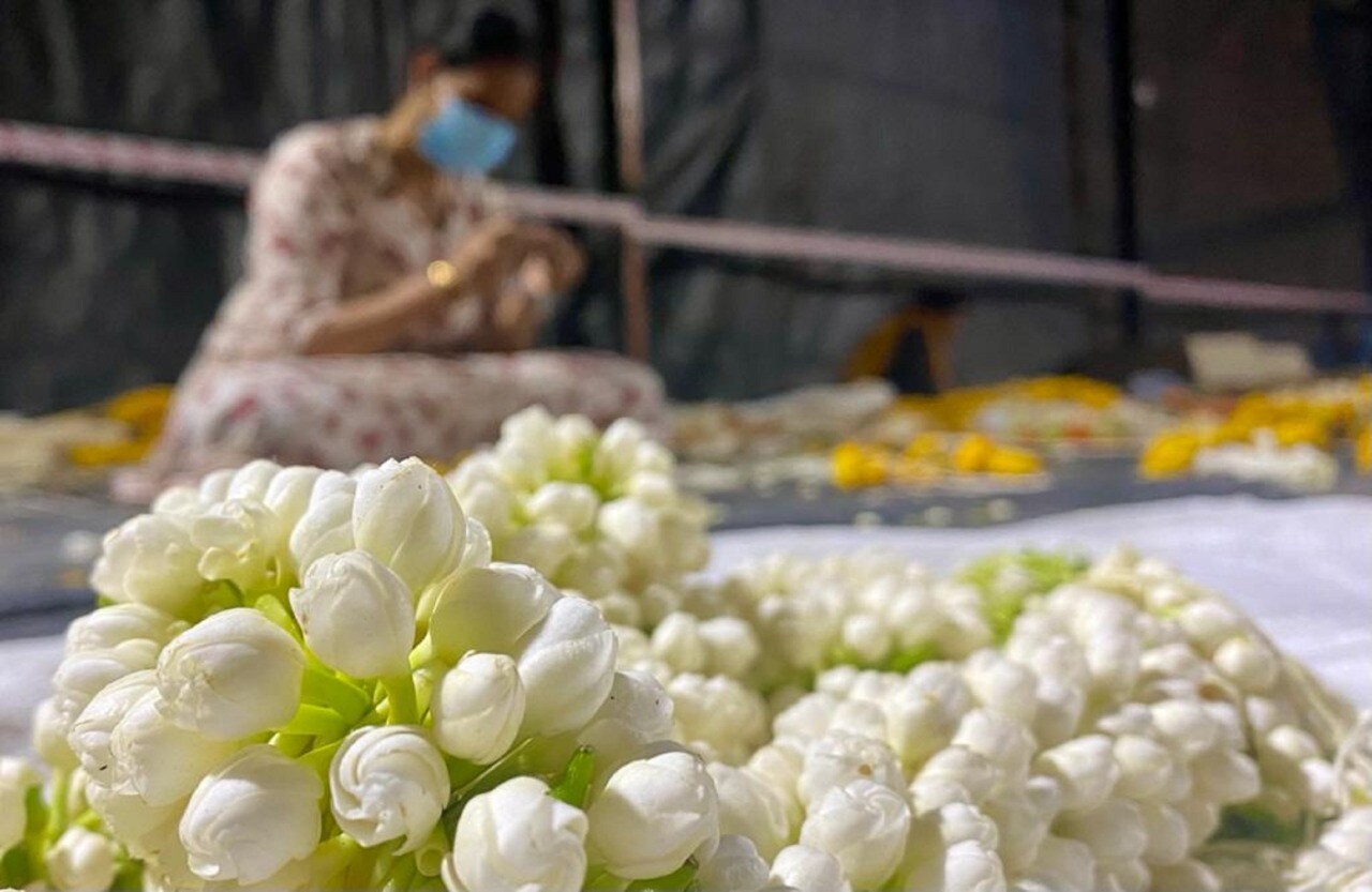 இதுதவிர, பாலிவுட் வட்டாரத்தில் பிரபலமான கபீர் கஃபே குழுவினர் மற்றும் பின்னணி பாடகர் திரு.பார்த்திவ் கோஹில் குழுவினர் நடத்திய இசை நிகழ்ச்சிகள் பார்வையாளர்களை கவர்ந்தன. மேலும், சவுண்ட் ஆஃப் ஈஷா குழுவின் பாடல்களும், சம்ஸ்கிரிதி மாணவர்களின் நடன நிகழ்ச்சியும் மக்களின் மனங்களை கொள்ளை கொண்டது. நள்ளிரவில் கண்ணை கவரும் ஆதியோகி திவ்ய தரிசன காட்சியும் நடைபெற்றது. இதுதவிர, பாலிவுட் வட்டாரத்தில் பிரபலமான கபீர் கஃபே குழுவினர் மற்றும் பின்னணி பாடகர் திரு.பார்த்திவ் கோஹில் குழுவினர் நடத்திய இசை நிகழ்ச்சிகள் பார்வையாளர்களை கவர்ந்தன. மேலும், சவுண்ட் ஆஃப் ஈஷா குழுவின் பாடல்களும், சம்ஸ்கிரிதி மாணவர்களின் நடன நிகழ்ச்சியும் மக்களின் மனங்களை கொள்ளை கொண்டது. நள்ளிரவில் கண்ணை கவரும் ஆதியோகி திவ்ய தரிசன காட்சியும் நடைபெற்றது.