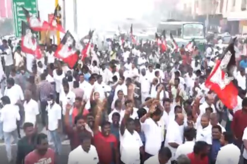 அதிமுக தொண்டர்கள் கொண்டாட்டம்