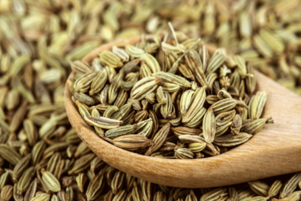 Fennel Seeds Benefits In Tamil