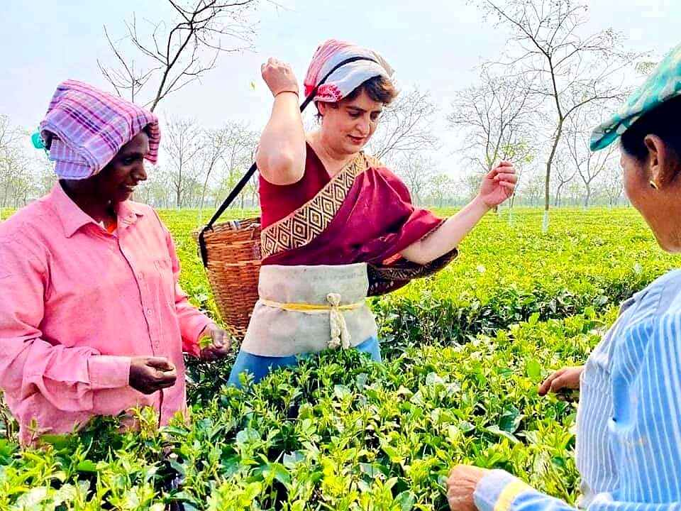 அசாமின் பிஸ்வநாத் மாவட்டத்தில் தேயிலை பறிக்கும் பெண் தொழிலாளர்களிடம் பேசிய பிரியங்கா காந்தி அவர்களுடன் சேர்ந்து தேயிலை பறிப்பில் ஈடுபட்டார். அசாமின் பிஸ்வநாத் மாவட்டத்தில் தேயிலை பறிக்கும் பெண் தொழிலாளர்களிடம் பேசிய பிரியங்கா காந்தி அவர்களுடன் சேர்ந்து தேயிலை பறிப்பில் ஈடுபட்டார்.