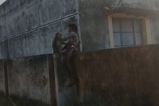 அட்டூழியம் செய்த குரங்கிடம் சிக்கி சிலையாக மாறிய சிறுவன்..!