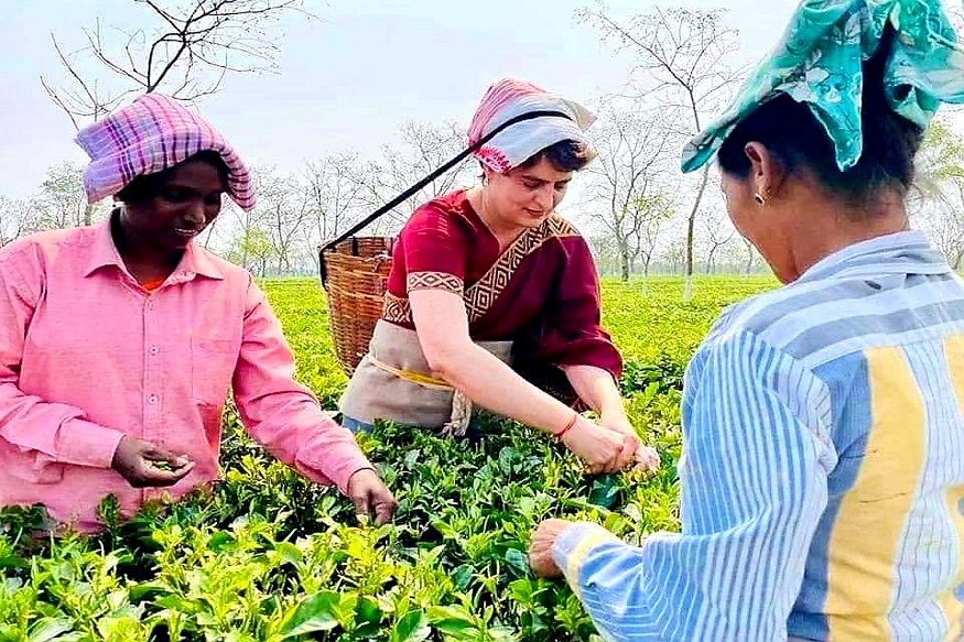  அசாமுக்கு 2 நாட்கள் சுற்றுப்பயணம் மேற்கொண்டுள்ள பிரியங்கா காந்தி, முன்னதாக காமக்யா கோயிலில் வழிபட்டார்.