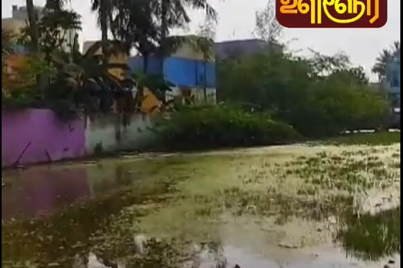 விழுப்புரம் : குடியிருப்பில் தேங்கிய சாக்கடை