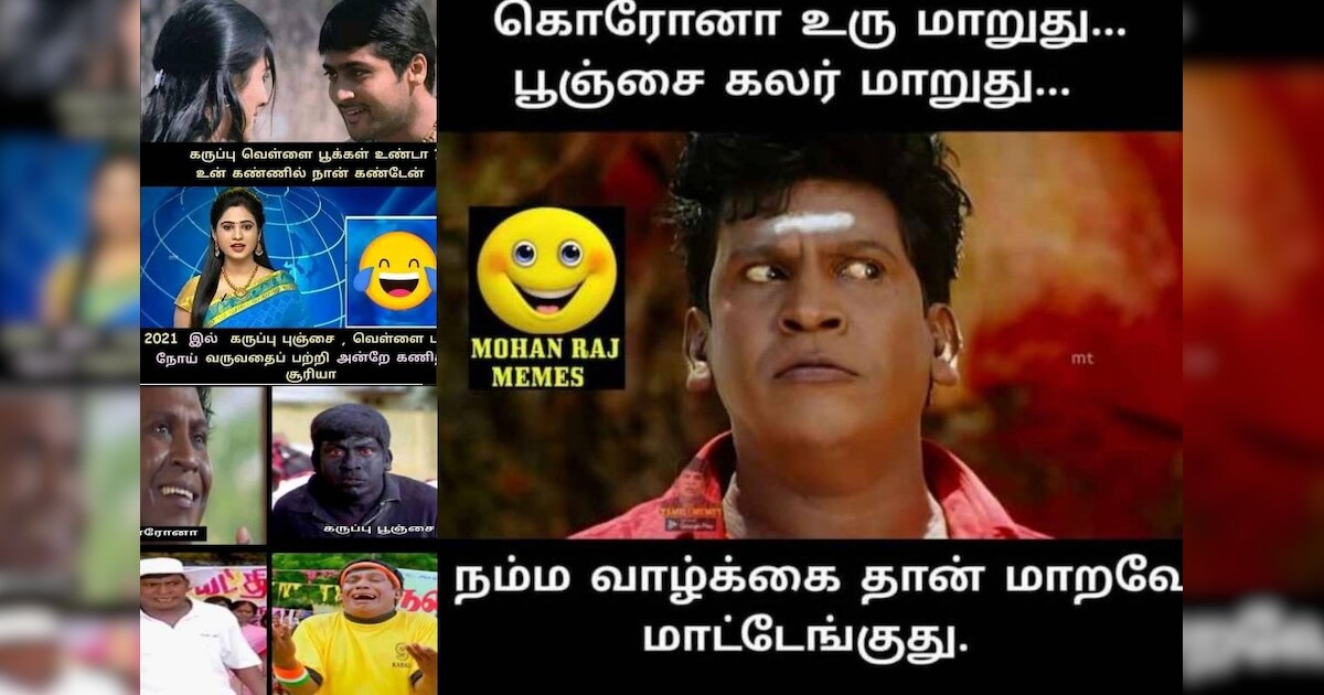 Yellow fungus Memes 'லிட்டில் ப்ரின்ஸஸ் NOW.. பிங்க் கலர் பூஞ்சை எப்ப