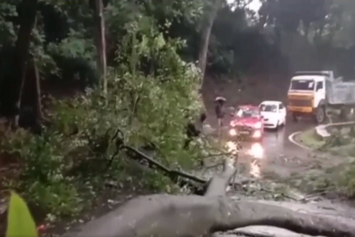 குன்னூர் சுற்றுவட்டாரத்தில் மழை: மரங்கள் சாய்ந்ததால் போக்குவரத்து தடை!