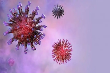 Corona Virus: வியட்னாமில் புதிய ஹைபிரிட் வகை கொரோனா வைரஸ் கண்டுபிடிப்பு! Corona Virus: வியட்னாமில் புதிய ஹைபிரிட் வகை கொரோனா வைரஸ் கண்டுபிடிப்பு!