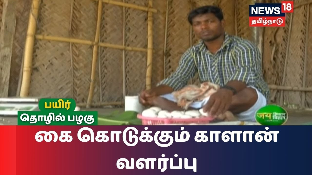 கை கொடுக்கும் காளான் வளர்ப்பு: குறைந்த முதலீடு நிகர லாபம்..