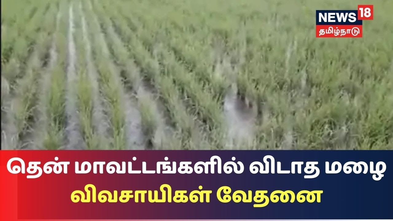 தொடர் மழையால் பயிர்களை அறுவடை செய்ய முடியாமல் தவிக்கும் விவசாயிகள்..