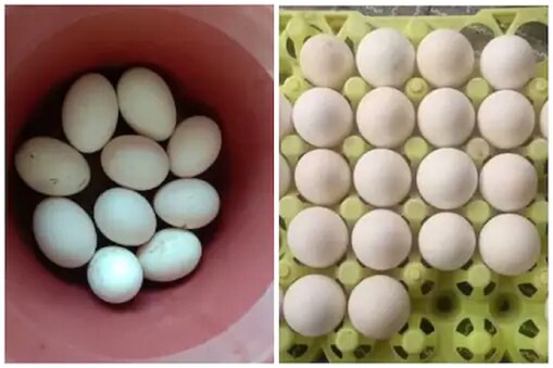 Plastic Eggs: ஒரு மணி நேரமாகியும் வேகாத முட்டை...பிளாஸ்டிக் முட்டையால்  ஏமாந்த கிராமம் | Plastic Eggs In Nellore District Andhra Pradesh– News18  Tamil
