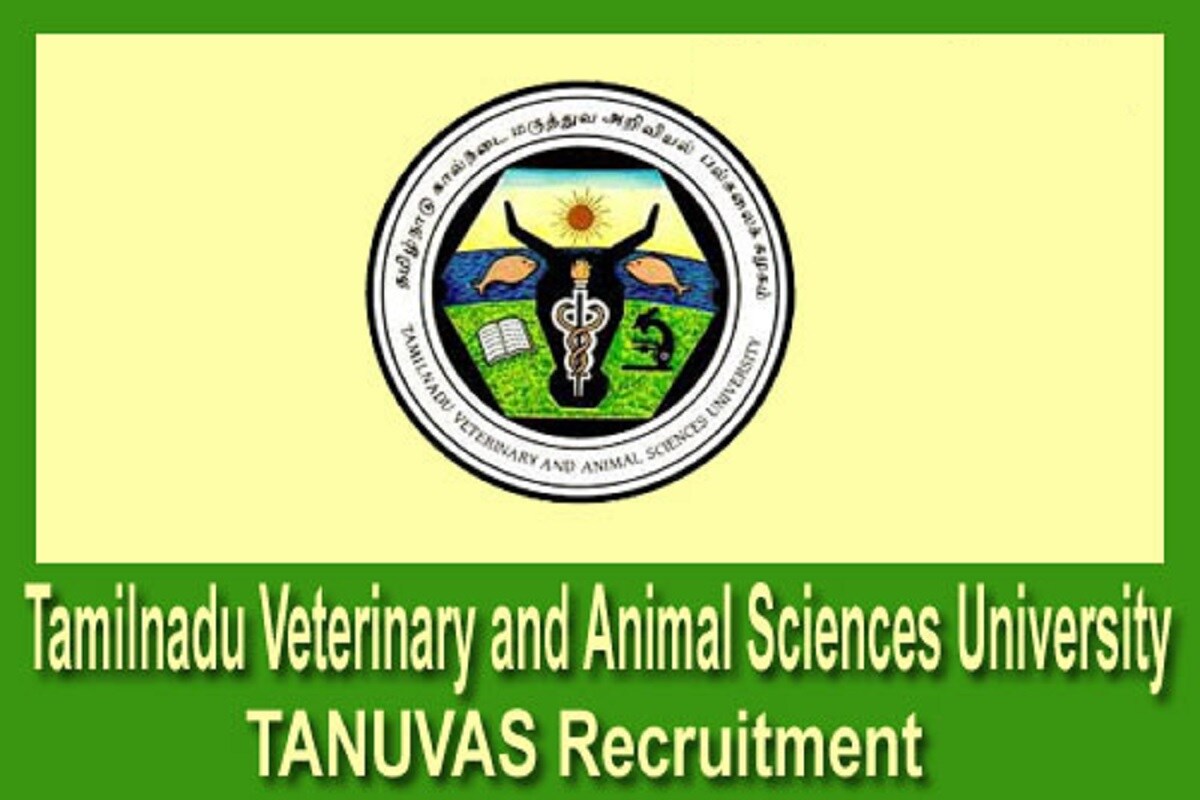 job vacancy