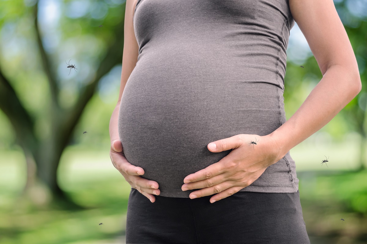 ஜிகா வைரஸ் கர்ப்பிணிகளை பாதிக்குமா..? மருத்துவரின் விளக்கங்கள்