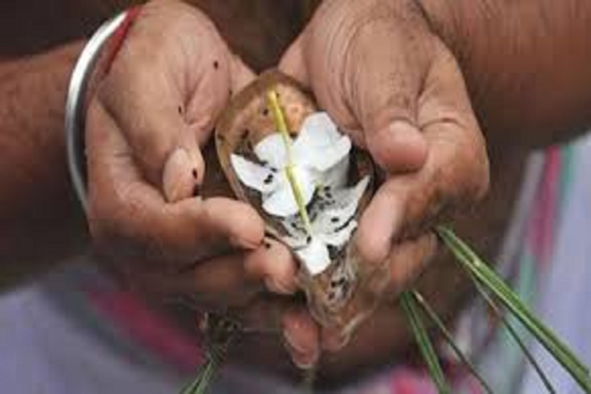 முன்னோர் வழிப்பாடு