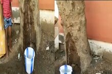 மதுரையில் தண்ணீர் தந்த அதிசய மரம் – மாநகராட்சி கொடுத்த விளக்கம்
