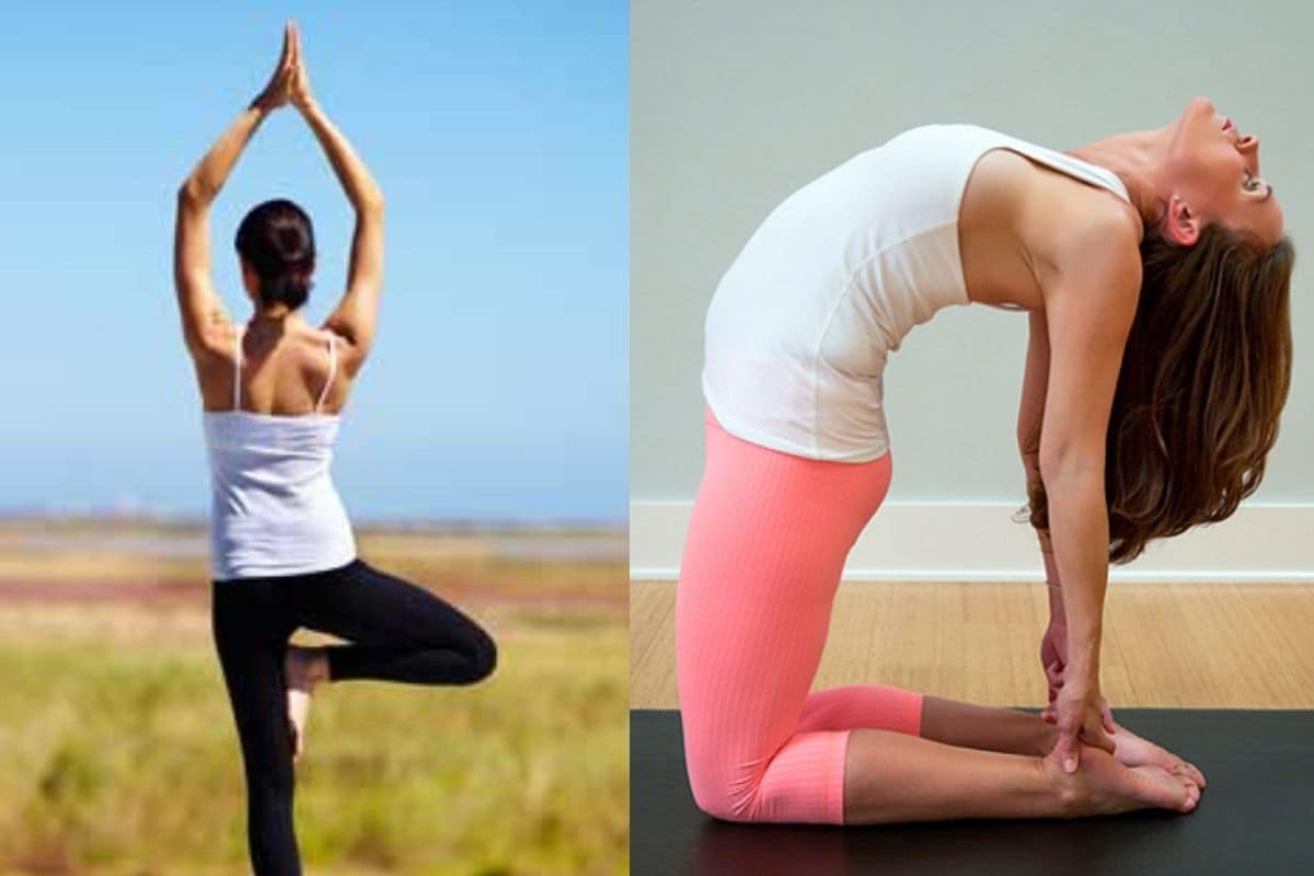 கண் பார்வையை மேம்படுத்த உதவும் முக்கியமான 5 யோகாசனங்கள்! | Yoga Asanas To  Improve Eye Sight | Onlymyhealth Tamil | OnlyMyHealth