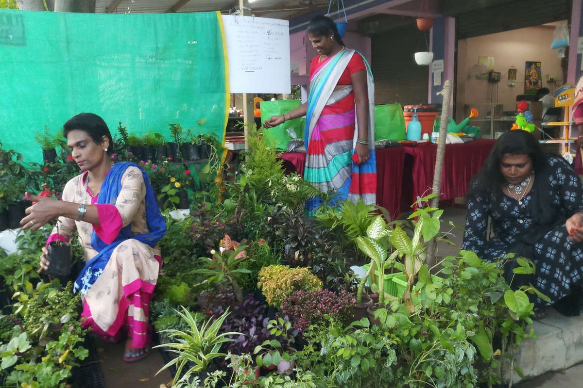 இயற்கை முறையில் பயிரிட்டு செடிகளை விற்பனை செய்யும் திருநங்கைகள்